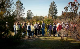 A group of prospective volunteers tours the S. Africa Garden group touring the South African Garden